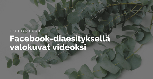 Seuraa joensuu suomi porno fi Pornofilmit naisia tallinnasta