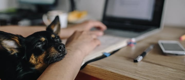 Markkinoinnin automaatio b2b-yritykselle – miten hyödyt irti automaatiosta?
