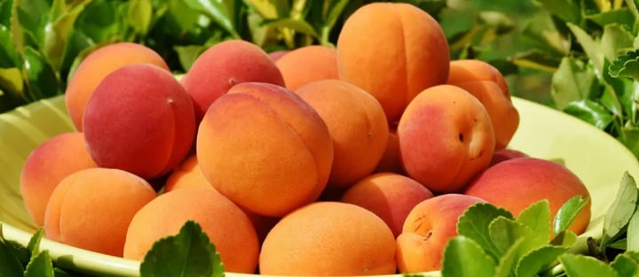 Peach-sovellus – mikä se on ja miten sitä käytetään? – Somevinkki 6